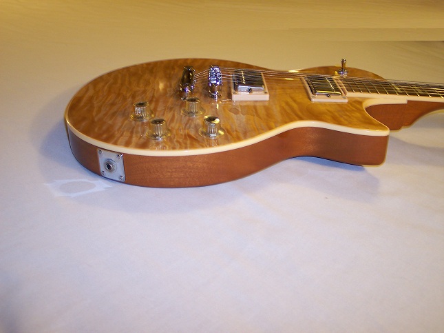 Bluesbird Picture 10